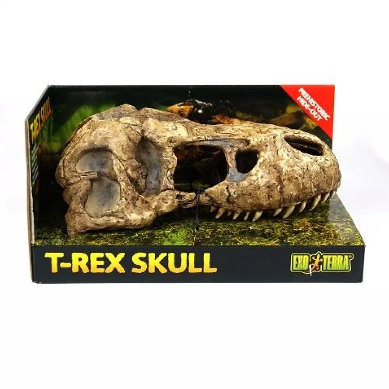 Exo Terra T-Rex Skull
