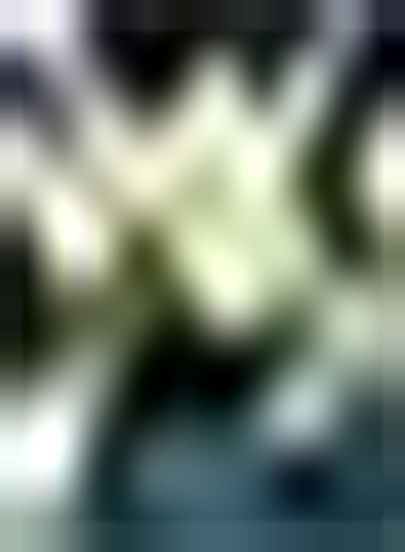 GGOOT 100pcs White  Seeds Large Wavy Flower Multiple Petals Garden Hanging Plant Potted Outdoor Vine Flower Seeds Easy to Plant - Image 2