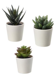 Swiss Canton 3-in-1 Artificial Potted Succulent Set - Uniquely Shaped Succulents, High-Quality Maintenance-Free Decor, Perfect Addition to Any Space, Effortless Elegance, Great Gift Idea, Vibrant Greenery  - Image 1