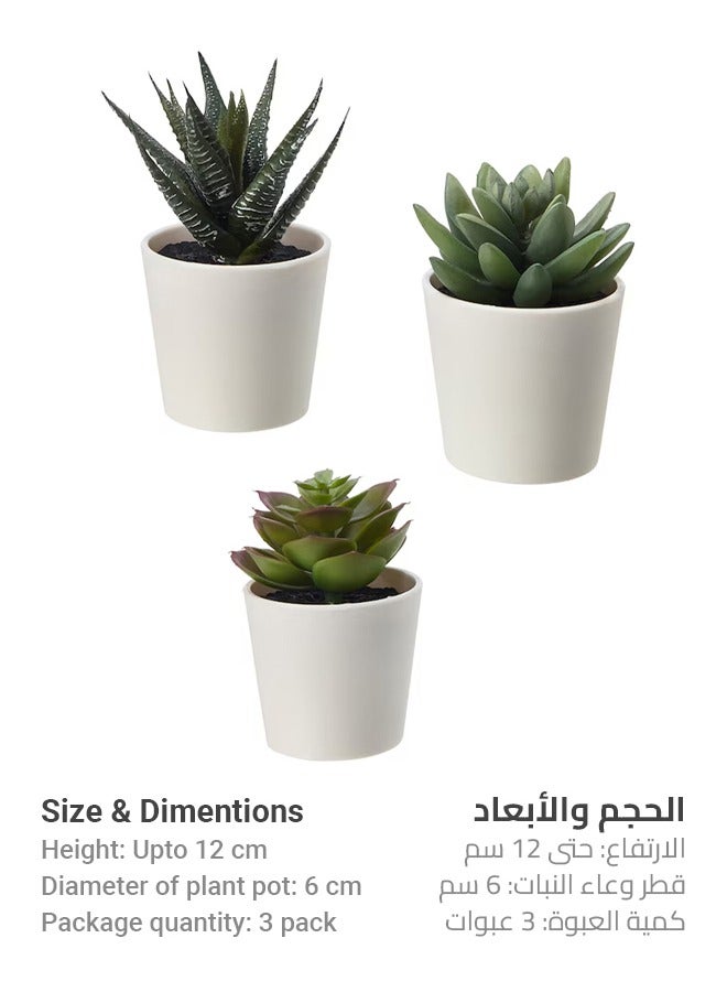 مجموعة نباتات عصارية اصطناعية ثلاثية الأبعاد - نباتات بتصميم فريد، ديكور عالي الجودة بدون صيانة، مثالية لأي مساحة، أناقة سهلة، فكرة هدية رائعة