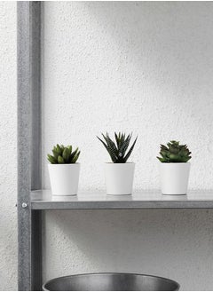 Swiss Canton 3-in-1 Artificial Potted Succulent Set - Uniquely Shaped Succulents, High-Quality Maintenance-Free Decor, Perfect Addition to Any Space, Effortless Elegance, Great Gift Idea, Vibrant Greenery  - Image 5