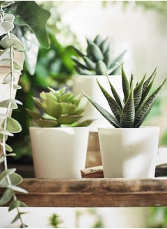Swiss Canton 3-in-1 Artificial Potted Succulent Set - Uniquely Shaped Succulents, High-Quality Maintenance-Free Decor, Perfect Addition to Any Space, Effortless Elegance, Great Gift Idea, Vibrant Greenery  - Image 2