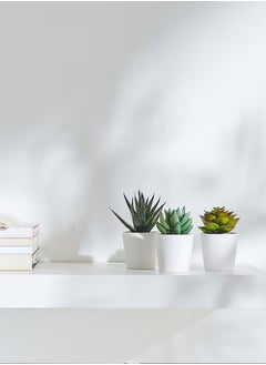 Swiss Canton 3-in-1 Artificial Potted Succulent Set - Uniquely Shaped Succulents, High-Quality Maintenance-Free Decor, Perfect Addition to Any Space, Effortless Elegance, Great Gift Idea, Vibrant Greenery  - Image 4