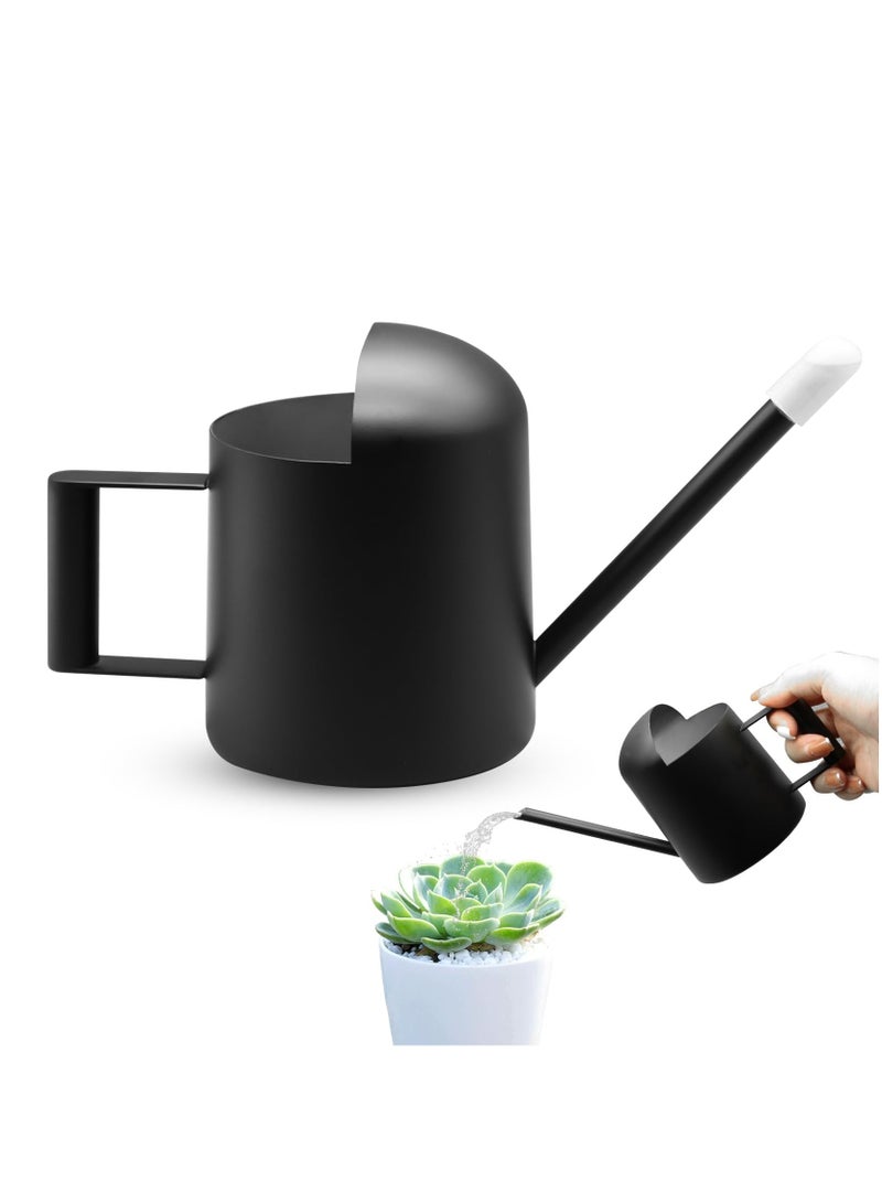 Generic Stainless Steel Mini Watering Can - 11oz/300ml Small Watering Can for Indoor Plants  - Image 1
