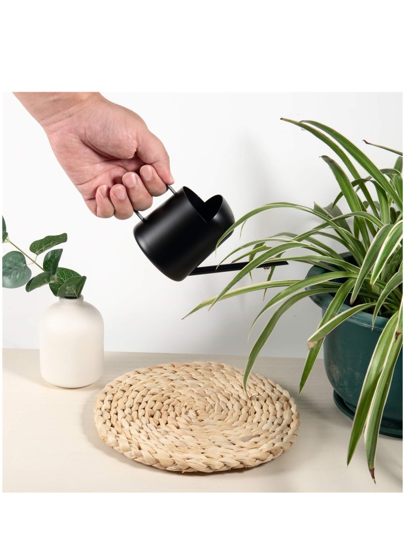 Generic Stainless Steel Mini Watering Can - 11oz/300ml Small Watering Can for Indoor Plants  - Image 4