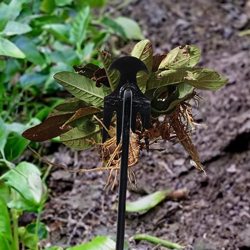 Theuzi Weed Puller Tool Garden Weed Pulling Tool, Portable Garden Weeder Tool Uprooting Weeding Tool, 4 Teeth Manganese Steel Forged Hand Weeder for Vegetable Gardening Backyard Farm Planting & Weeding - Image 4