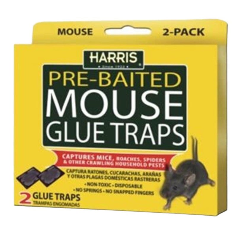 HARRIS STICKY MOUSE TRAP 2 PACK
