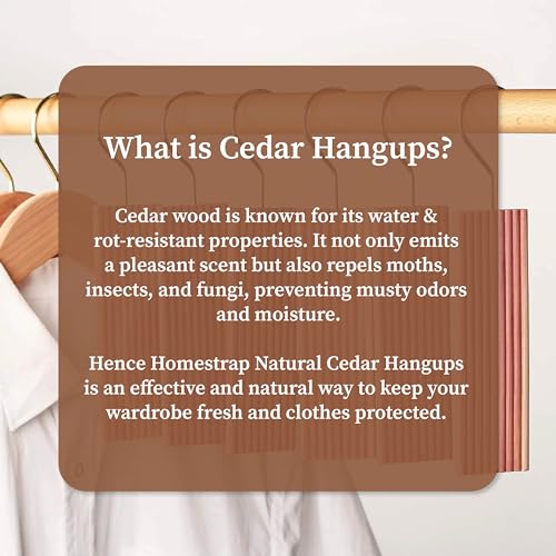 Homestrap Natural Cedar Air Freshener Hang-Ups (Pack of 5)|Hangers Removes Odours and Prevents Pests and Mold|Cedar Block Hangups for Wardrobe - Image 3