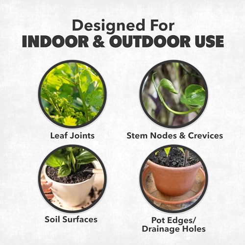 NatureStop Mealy Bug Killer - Fast-Acting Mealy Bug Killer for Soil & Plants, 16oz - Image 5
