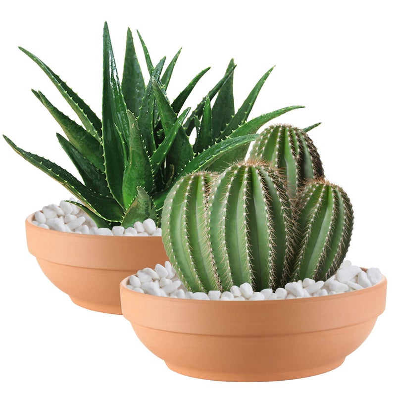 Laerjin Terra Cotta Pots for Plants with Drainage Hole, 2 Pack Large Round Clay Flower Pots, 8.66" Clay Ceramic Pottery Planter Cactus Flower Pots - Image 1