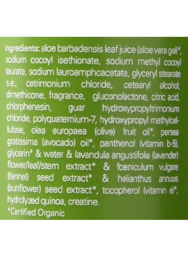 Loma Nourishing Shampoo 12 Ounce - Image 3