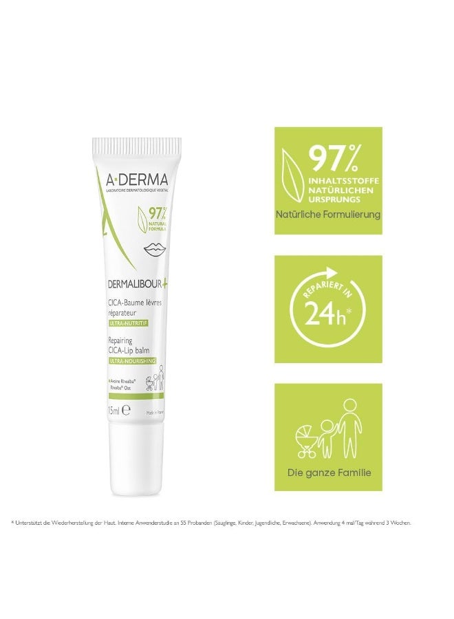 إيه-ديرما مرطب شفاه ديرماليبور+ من أ-ديرما، 15 مل - Image 2