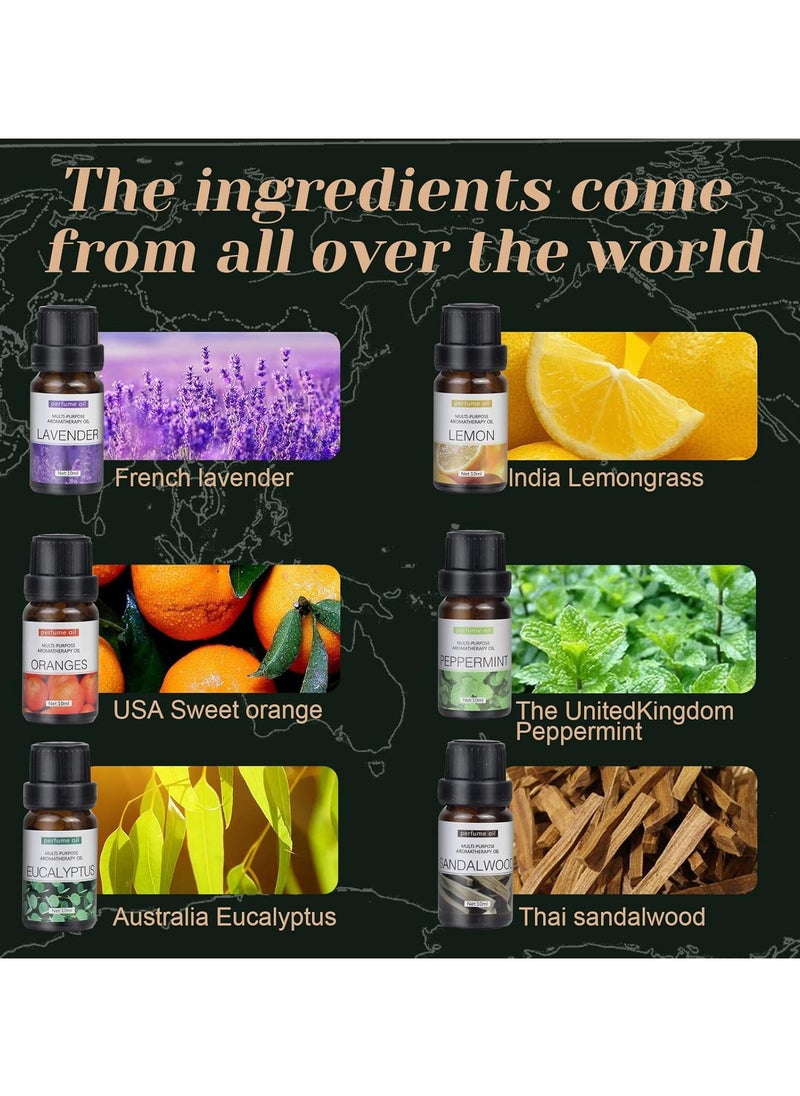 DIGI CORE Essential Oils Set Top 6 Blends For Diffusers, Home Care, Candle Making Scents, Fragrance, Aromatherapy, Humidifiers Lavender, Oranges, Eucalyptus, Lemon, Peppermint & Sandalwood 10ML Each Bottle  - Image 2