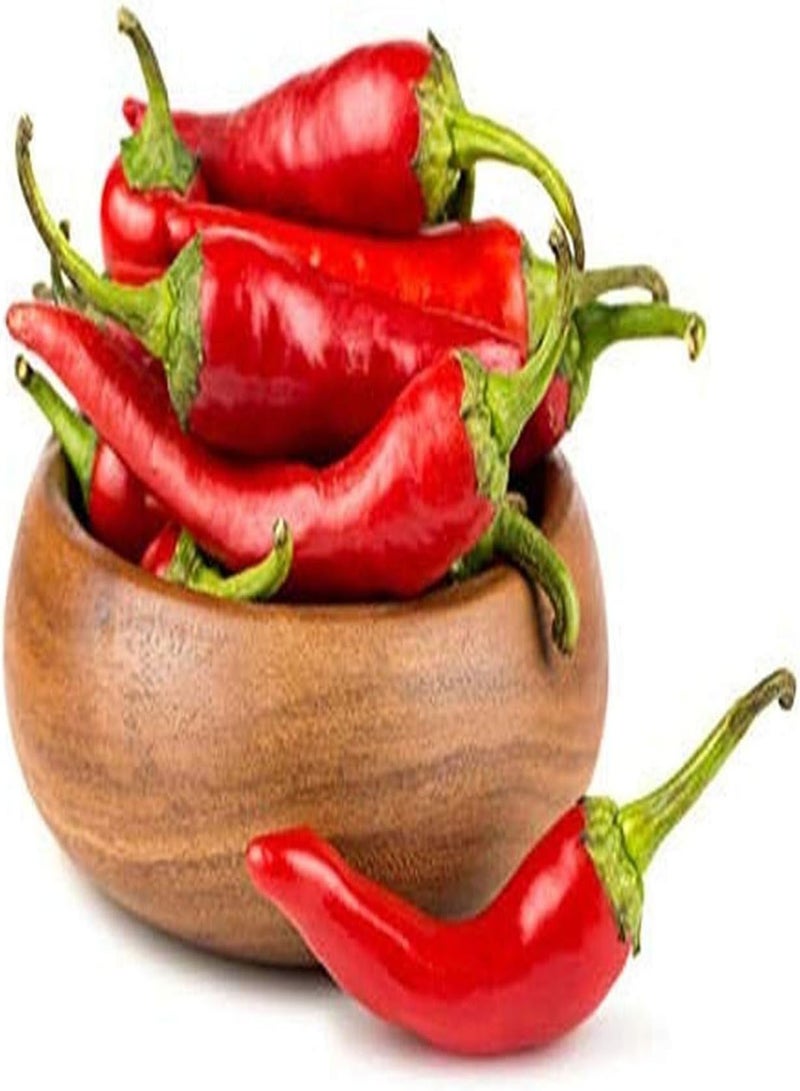 GGOOT 200Pcs Red Pepper Seeds Perennial Heirloom Vegetables Outdoor Garden Greenhouse Courtyard Balcony Easy to Plant Varieties - Image 1