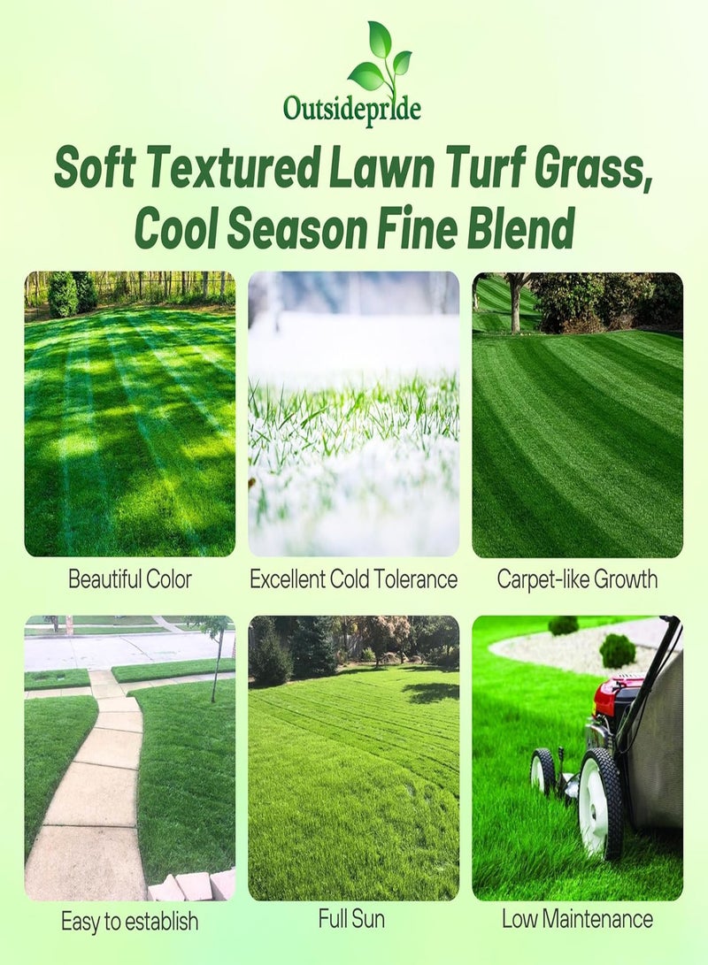 GGOOT Midnight Kentucky Bluegrass Seed - 25 gs. Cold & Drought Tolerant, Sun-Loving Lawn Grass Seed, w/High Traffic Tolerance & Deep Root System, OptiGrowth Coated for Better Establishment - Image 2
