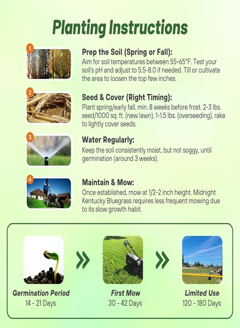 GGOOT Midnight Kentucky Bluegrass Seed - 25 gs. Cold & Drought Tolerant, Sun-Loving Lawn Grass Seed, w/High Traffic Tolerance & Deep Root System, OptiGrowth Coated for Better Establishment - Image 4