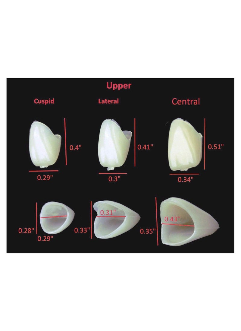Generic - 50 Pcs Temporary Tooth Crown Fake Teeth Repair Material Front and Molar Posterior offering Help in Fixing Missing Broken Tooth Front Teeth - Image 1
