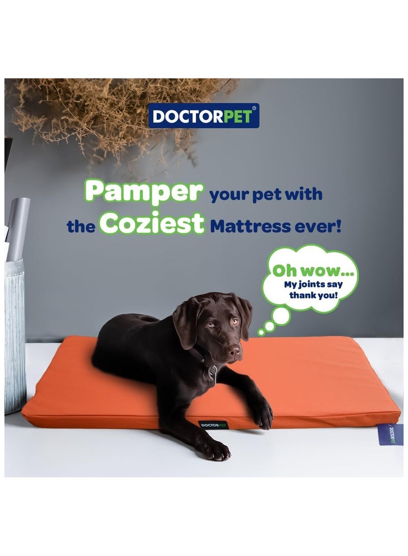 DOCTERPET مرتبة قفص دكتور بيت جيلاتو متوسطة - 53x76x6 سم - برتقالي - قماش ناعم قابل للغسل، تأثير تبريد، حشوة صديقة للبيئة، قاعدة غير قابلة للانزلاق - مثالية للقطط والكلاب المتوسطة - Image 3