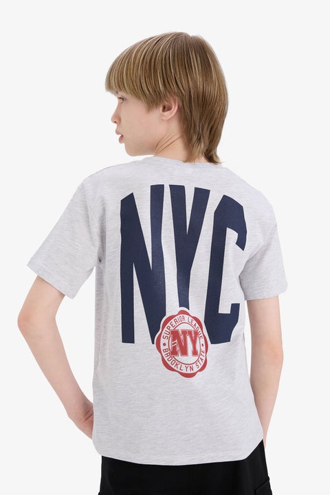 Grey Boy Crew Neck Printed Short Sleeve T-Shirt Casual