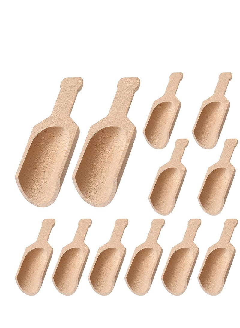 Wooden Scoops for Canisters, Small Bath Salt Mini Wood Coffee Spoon Washing Spices Tea Beans Sugar Scrubs Salts Cooking 1.2 x 3.2 Inches 12 Pieces  - Image 1