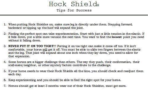 Intrepid International Click Horse Hock Shield, Hock Shield for Horses, Fleece Lining, Prevents Hock Sores & Bed Sores, Tear Resistant Protectors, Black w/Green Trim XL Horse Size 16"-20" - Image 3