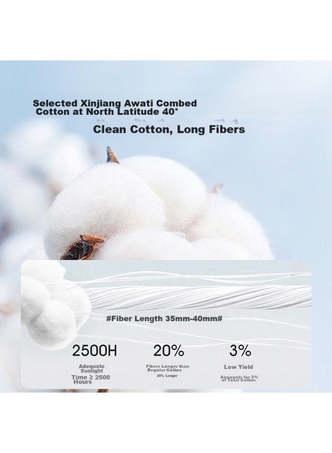 LANG SHA Langsha Men's Socks, 10 Pairs, Combed Cotton, Antibacterial Mesh Short Socks, Men's Cotton Socks, Odor-resistant, Sweat-absorbing, Athletic Socks For Men - Image 4