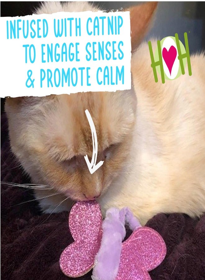 HuggleHounds HuggleKats Cat Toys - Kitten Toys for Bored Indoor Cats, Perfect for Moving, Exercise, Biting & Chewing - Bindies (2 Pack) - Image 4