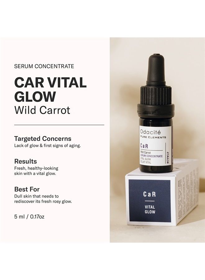 Odacité Brightening Serum Concentrate with Wild Carrot - for Natural Glow, Moisturizing Facial Serum for Skincare, or Skin Brightening - Lightweight Facial Oil for Dull Skin - 0.17 Fl. Oz