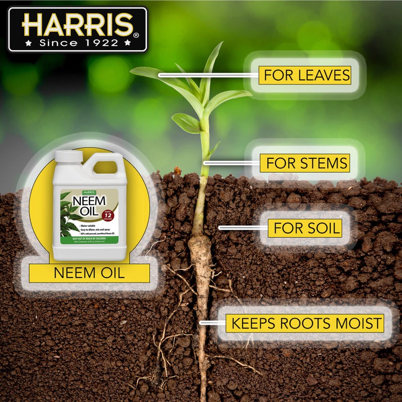 HARRIS Neem Oil Cold Pressed Water Soluble Concentrate, Makes 12 Gallons - Image 4