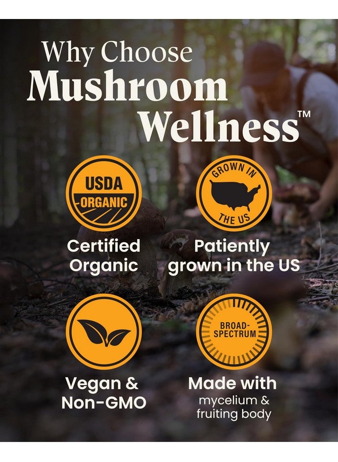 HERB PHARM Mushroom Wellness Everyday 10: Organic 10-in-1 Mushroom Capsules with Lion's Mane, Shiitake, Reishi, Turkey Tail & More, Mushroom Powder Supplement, Immune & Nervous System Support, 90 Vegan Capsules - Image 4