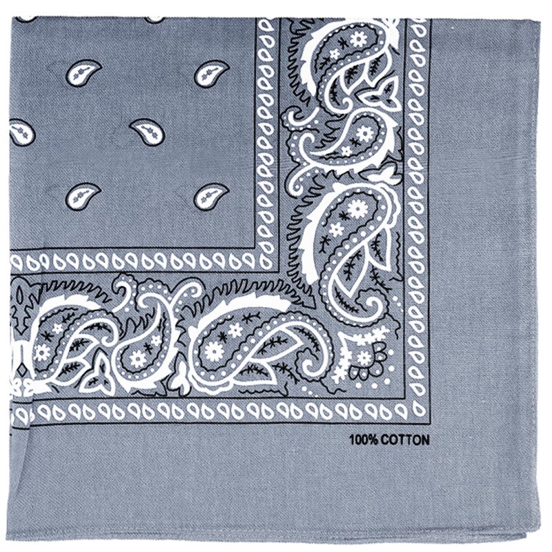 Raylarnia Bandana Multi-Purpose 100% Cotton Headbands for Women, 22 inch Paisley Cowboy Bandanas for Men - Image 1