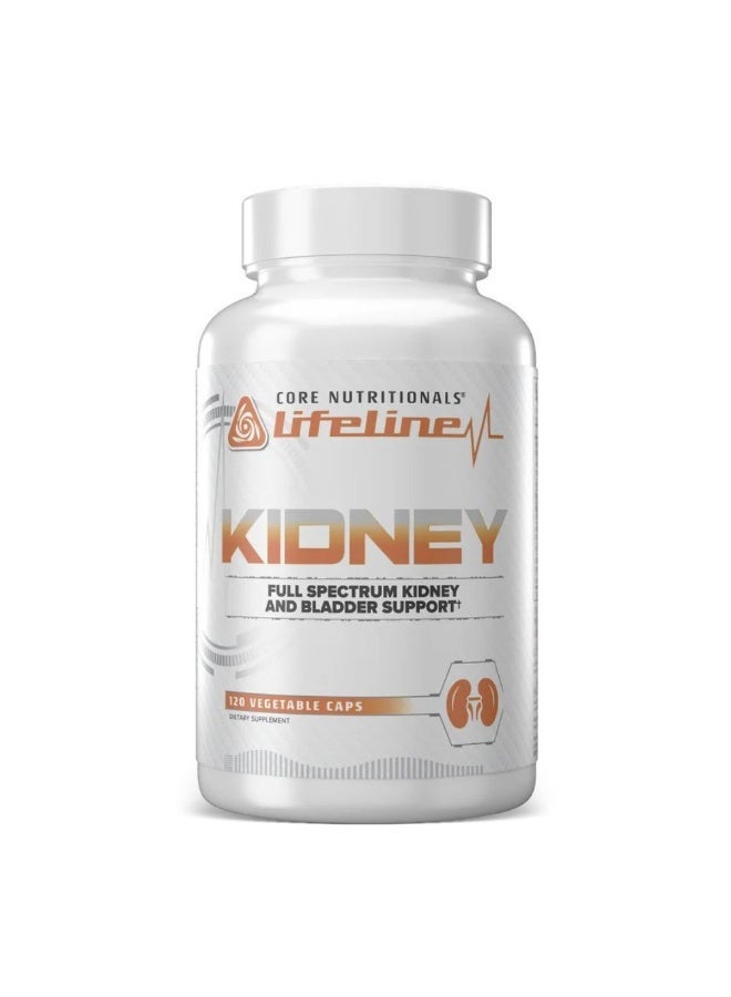 كور نيوتريشنالز لايف لاين لدعم الكلى من Core Nutritionals 120 كبسولة نباتية – 30 حصة لدعم الصحة والعافية - Image 1