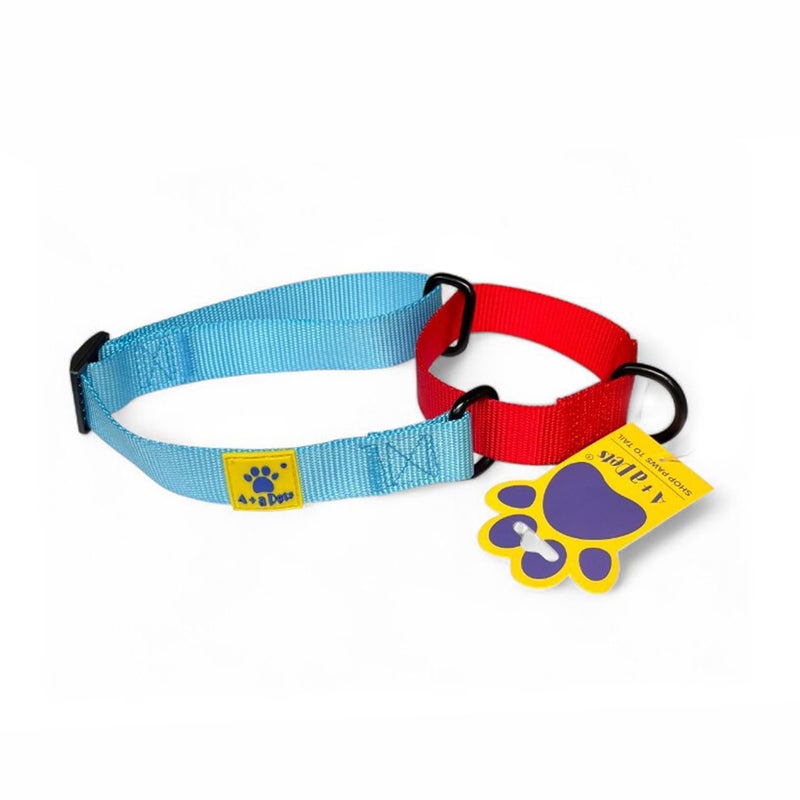 A+a Pets Martingale Dog Collar | No Pull Design,No Neck Strain,No Choke Design | for Large & Medium Dogs | Rust Free,Waterproof Nylon Training Collar (Light Blue & Red),30 x 2.5 cm - Image 1