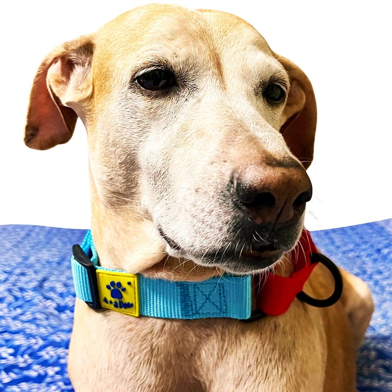 A+a Pets Martingale Dog Collar | No Pull Design,No Neck Strain,No Choke Design | for Large & Medium Dogs | Rust Free,Waterproof Nylon Training Collar (Light Blue & Red),30 x 2.5 cm - Image 3