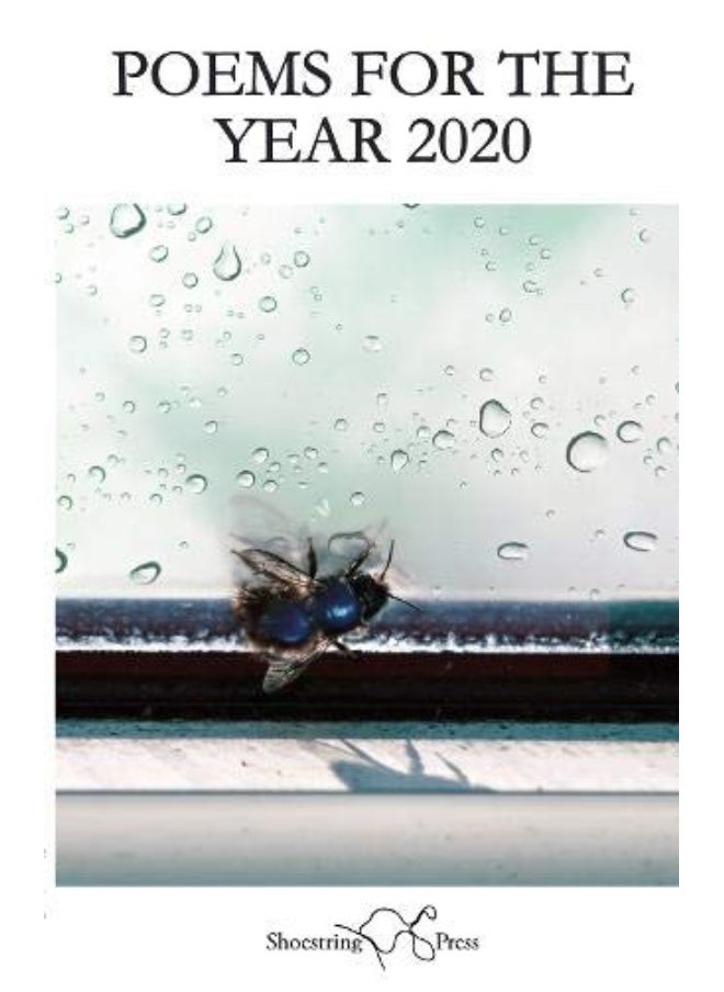 Poems For The Year 2020: Eighty Poets On The Pandemic 