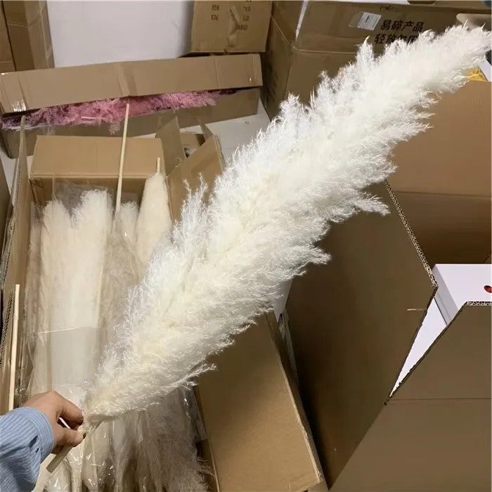 Bluejw 4-6 Inch Natural Pampas Grass Decor - Tall Dried Flowers Boho Home Bouquet for Wedding Arrangements, Vase Filler, Garden Decor - Image 2