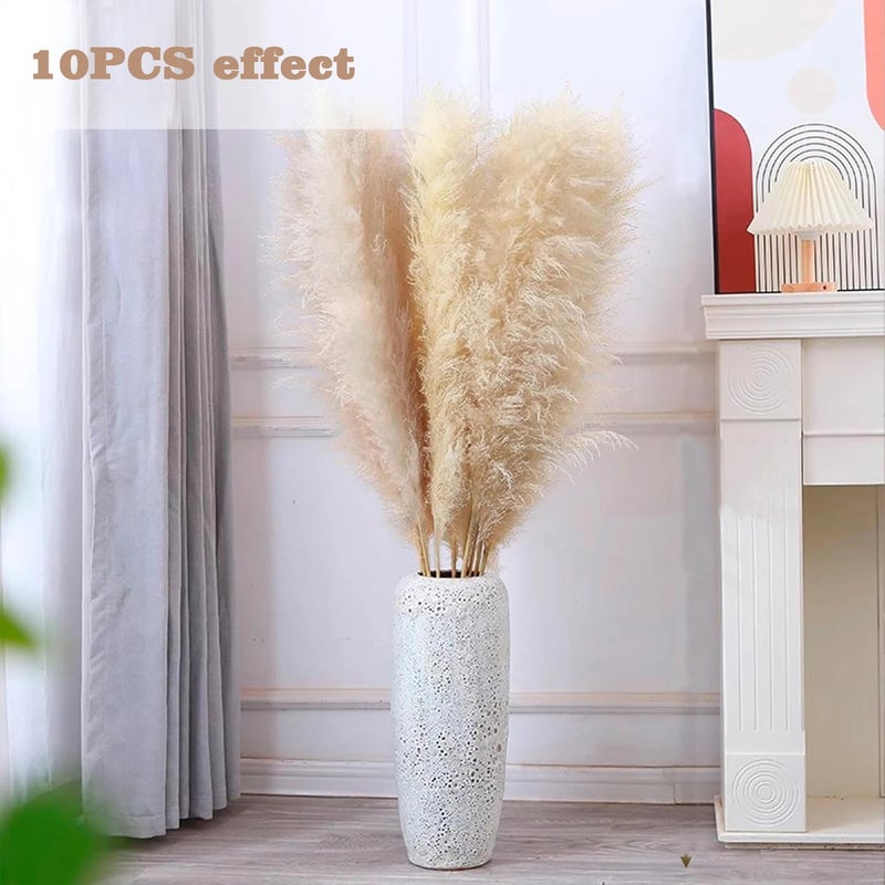 Bluejw 4-6 Inch Natural Pampas Grass Decor - Tall Dried Flowers Boho Home Bouquet for Wedding Arrangements, Vase Filler, Garden Decor - Image 5