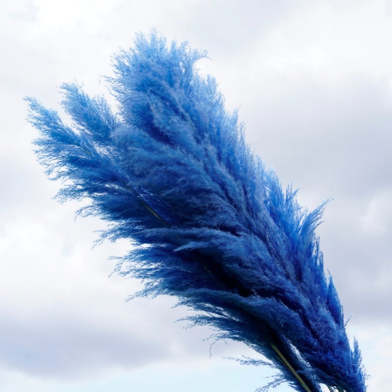 Bluejw 4-6 Inch Natural Pampas Grass Decor - Tall Dried Flowers Boho Home Bouquet for Wedding Arrangements, Vase Filler, Garden Decor - Image 4
