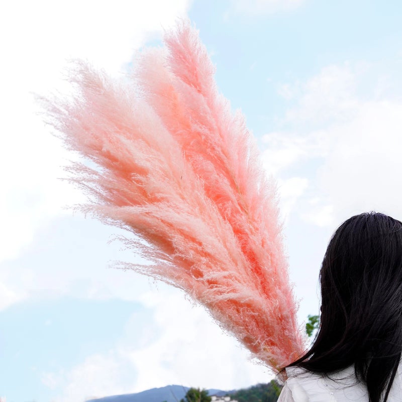 Bluejw 4-6 Inch Natural Pampas Grass Decor - Tall Dried Flowers Boho Home Bouquet for Wedding Arrangements, Vase Filler, Garden Decor - Image 3