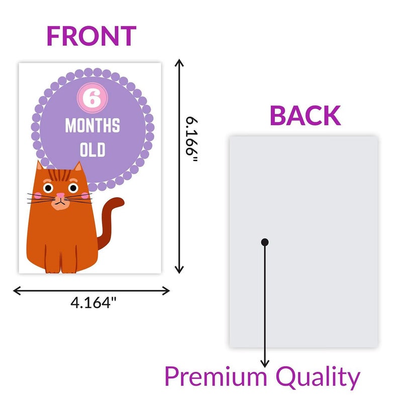 Wobbox Marathi Baby Shower Decoration Items| Baby Shower Ceremony Photo Booth Props for Photoshoot, Baby Shower Banner& Mom to Be Sash with Milestone Card, Godh Bharai Ceremony Decoration Kit-(FP220) - Image 3