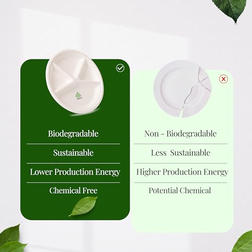 Shrayati Sugarcane Bagasse Plates - 12 Inch, 25 Pcs, 4 Compartment, Round Disposable Plates for Parties, Use and Throw Plates, Eco-Friendly - Image 3