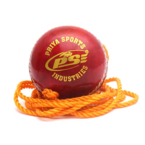 PSE Priya Sports Red Practice Leather Cricket Ball Pack of 1 - Image 1