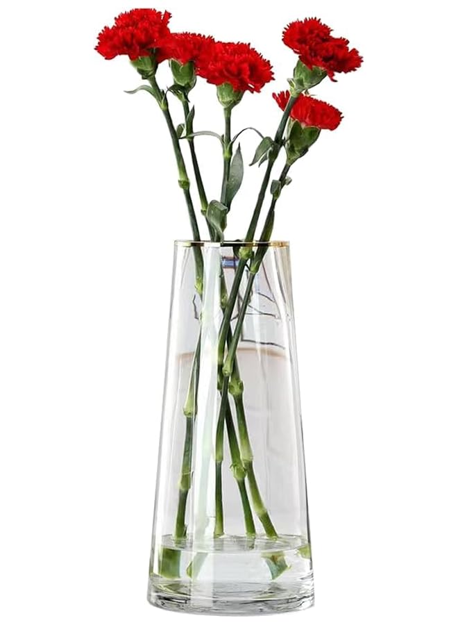 The Bros Clear Glass Vase, Cylinder Flower Vase for Floral Arrangements, Weddings, Home Decor or Office,21.5cm/8.5in Tall,7cm/2.8in Opening