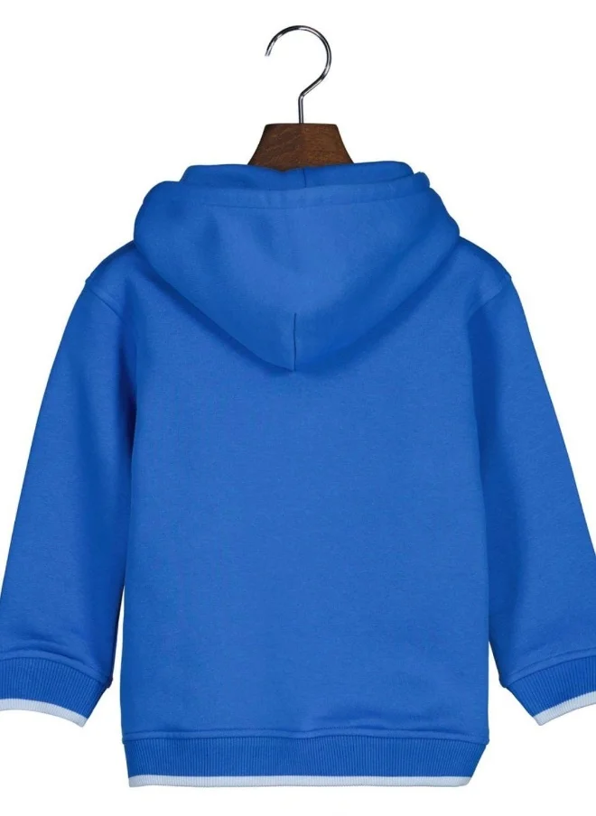 غانت Boys Gant Embroidered Palm Hoodie