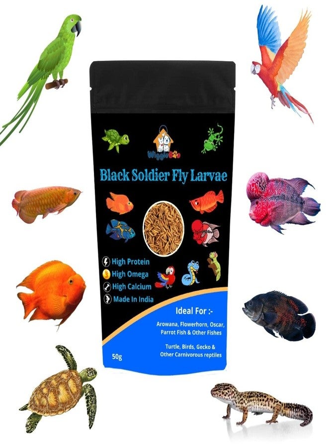 WiggleBoo Dried Black Soldier Fly Larvae 30g Fish Food - Protein Rich & Essential for Growth & Color Enhancement - Ideal for Bettas, Tetras, Arowana, Flowerhorn, Oscar, Blood Red Parrot, & More (30g) - Image 1