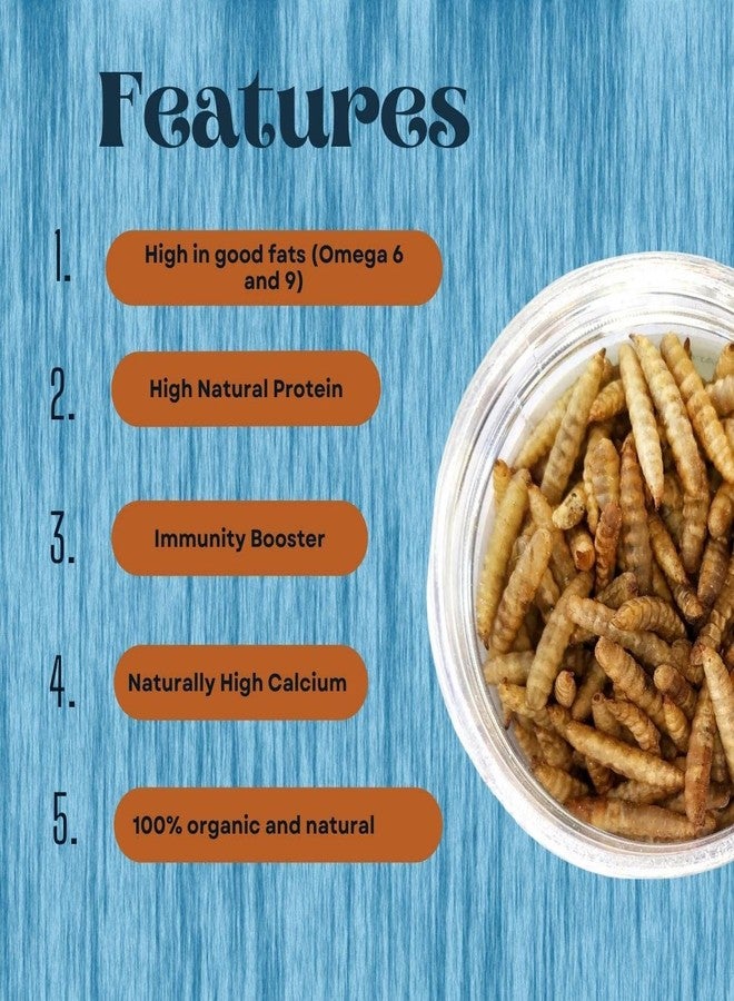 WiggleBoo Dried Black Soldier Fly Larvae 30g Fish Food - Protein Rich & Essential for Growth & Color Enhancement - Ideal for Bettas, Tetras, Arowana, Flowerhorn, Oscar, Blood Red Parrot, & More (30g) - Image 2