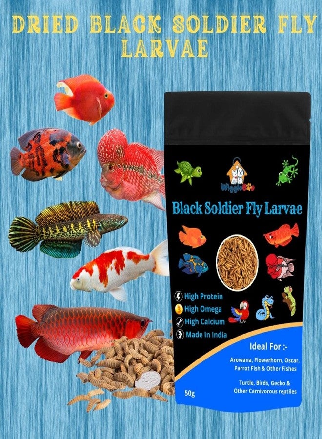 WiggleBoo Dried Black Soldier Fly Larvae 30g Fish Food - Protein Rich & Essential for Growth & Color Enhancement - Ideal for Bettas, Tetras, Arowana, Flowerhorn, Oscar, Blood Red Parrot, & More (30g) - Image 5