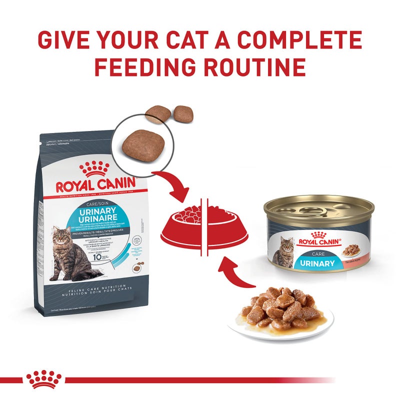 Royal Canin Feline Care Nutrition Urinary Care Adult Thin Slices in Gravy Cat Food, 3 oz (Pack of 24) - Image 5