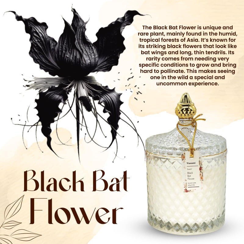 VIONAMI Luxury Scented Candle Gift â€“ Black Bat Rare Flower Fragrance in Elegant Glass Jar, Decorative Soy Candles Gifts for Women, Long-Lasting 80 Hr, 14.8 oz, Luxury Candles for Women - Image 2
