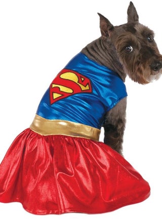DC Comics Pet Costume, X-Large, Supergirl, Blue - pzsku/Z5FF29E75A75366D4B90EZ/45/_/1687694545/cab6f1c9-0e80-4ad8-af6f-ff04fbe06eca